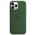 Чехол для телефона Apple iPhone 13 Pro Max Silicone Case with MagSafe – Clover (MM2P3ZE/A)