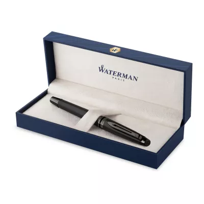 Ручка перьевая Waterman Expert DeLuxe (2119188)