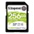 Карта памяти Kingston SDXC 256Gb Class10 Kingston SDS2/256GB Canvas Select Plus w/o adapter