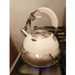 Чайник на плиту MAUNFELD MRK-119 3 л