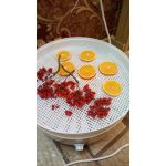Сушилка для овощей и фруктов Ротор СШ-002-06 цвет белый